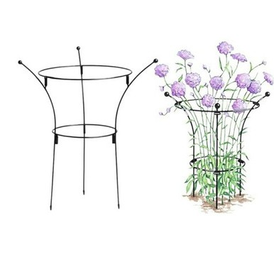 Plant Support